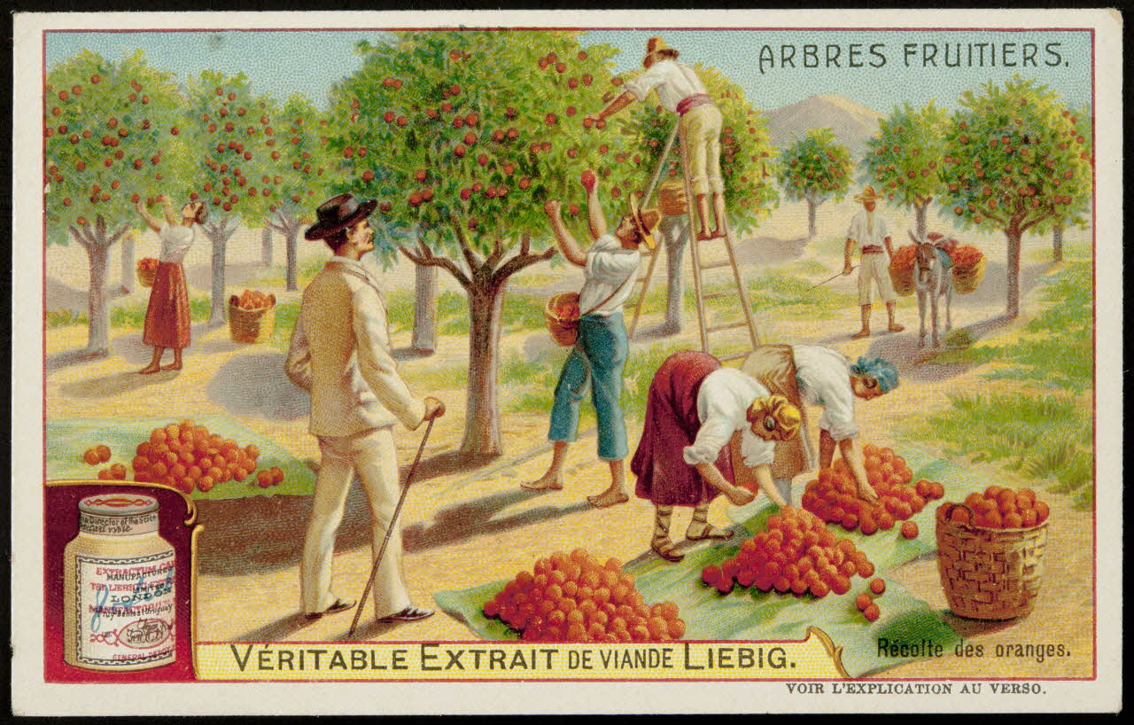 carte réclame chromo Paris 1907 1995.1.3677.1 Photo