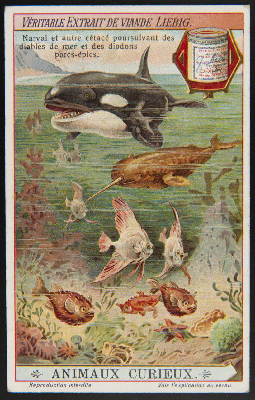 carte réclame chromo Paris 1912 1995.1.3679.1 Photo