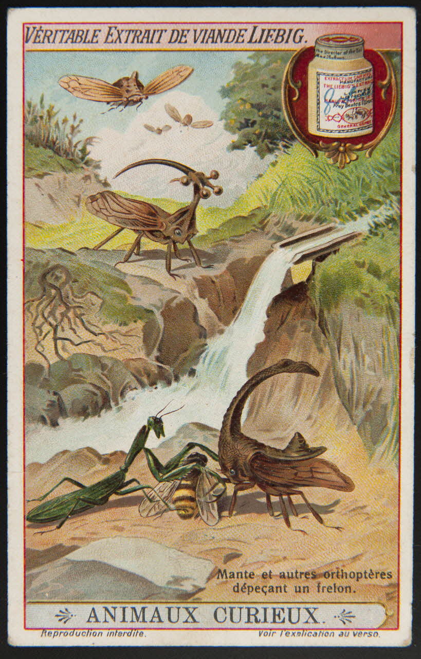 carte réclame chromo Paris 1912 1995.1.3679.2 Photo