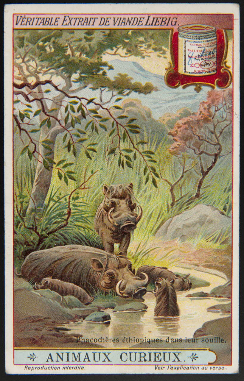 carte réclame chromo Paris 1912 1995.1.3679.6 Photo