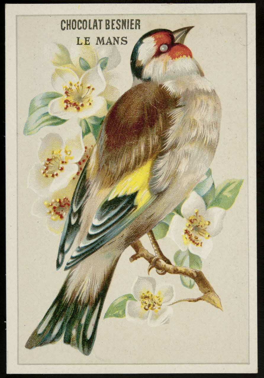 Gombert carte réclame chromo Paris 1890-1914 1995.1.3779.2 Photo