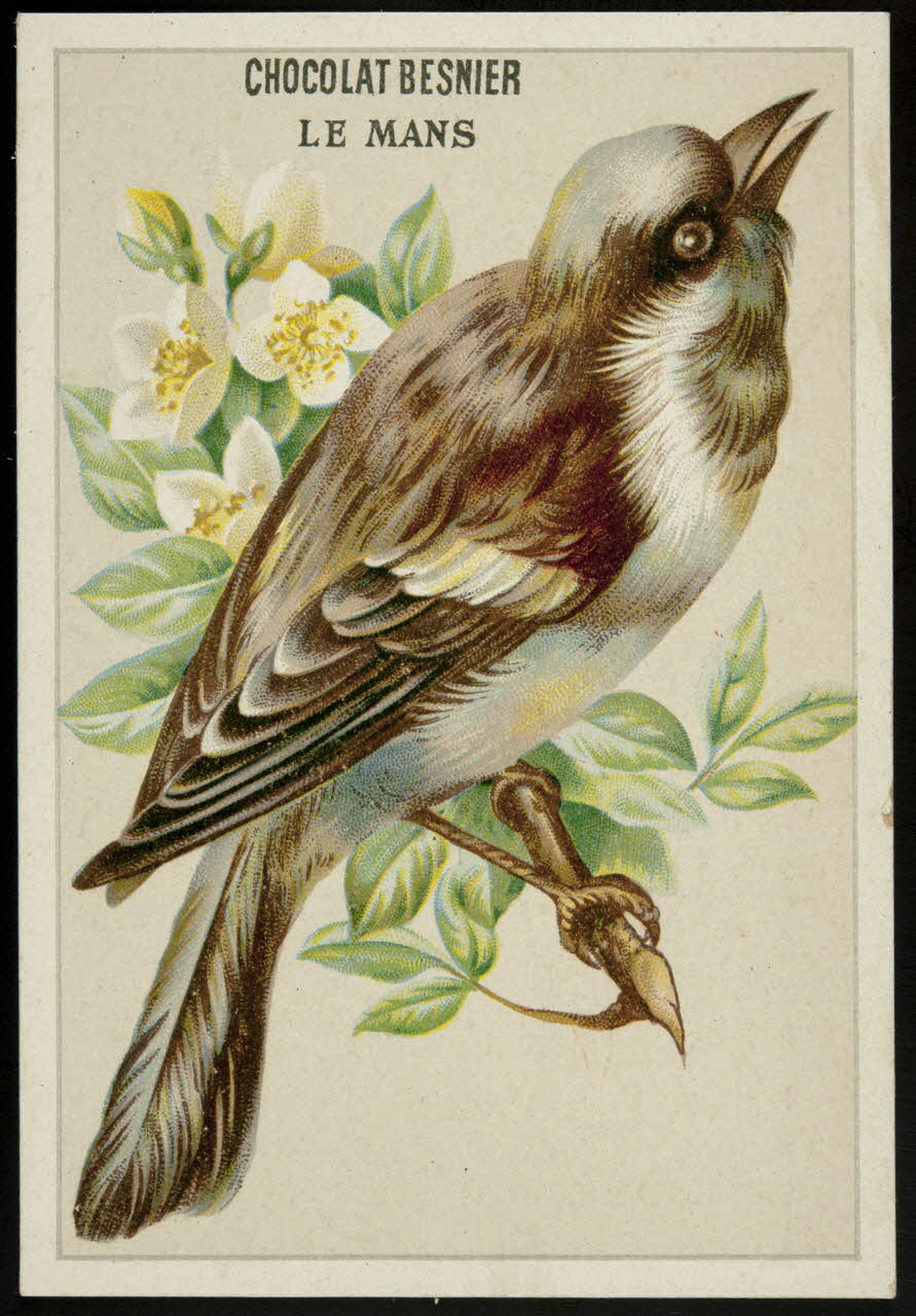 Gombert carte réclame chromo Paris 1890-1914 1995.1.3779.4 Photo