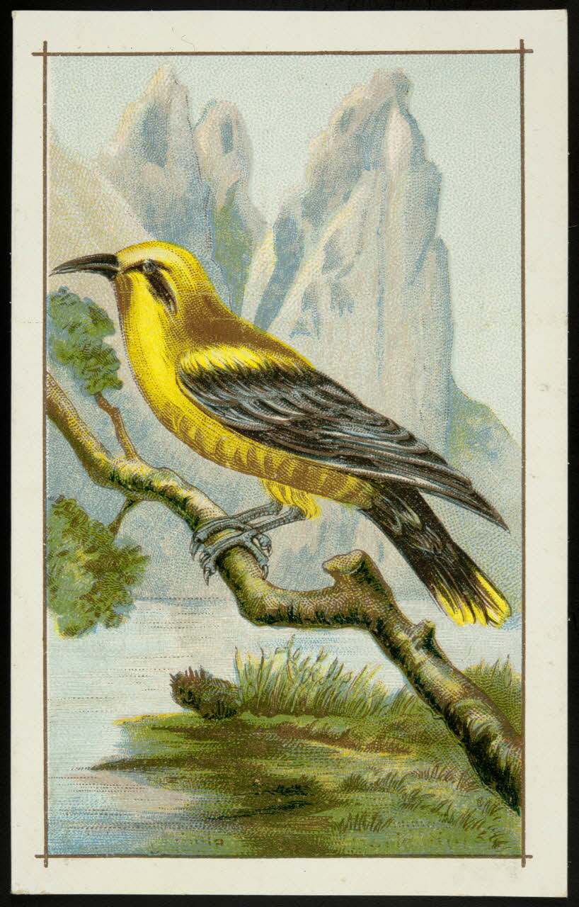 Gombert carte réclame chromo Paris 1890-1914 1995.1.3780.3 Photo