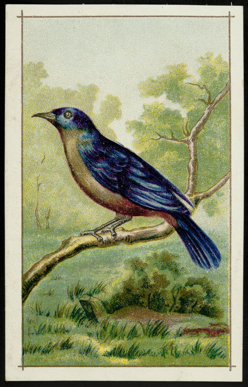 Gombert carte réclame chromo Paris 1890-1914 1995.1.3780.4 Photo