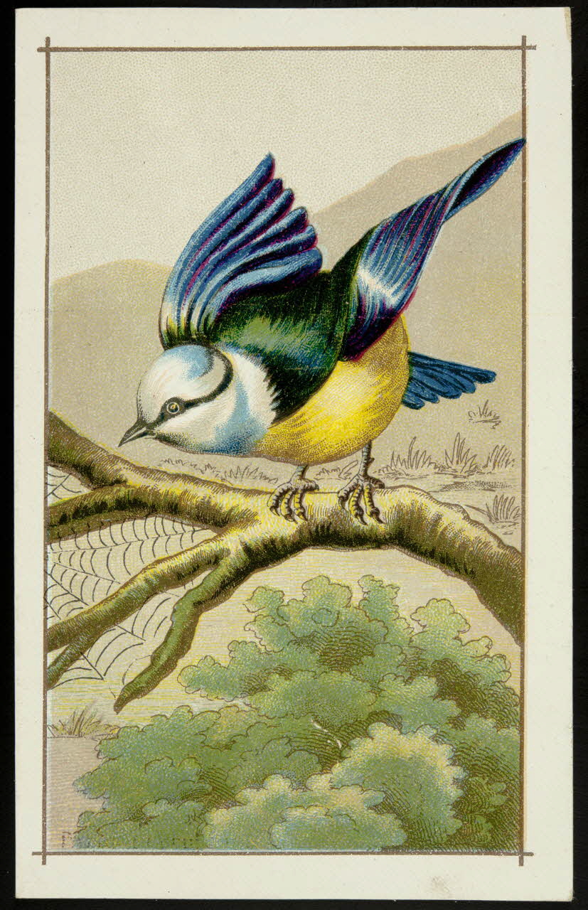 Gombert carte réclame chromo Paris 1890-1914 1995.1.3780.6 Photo