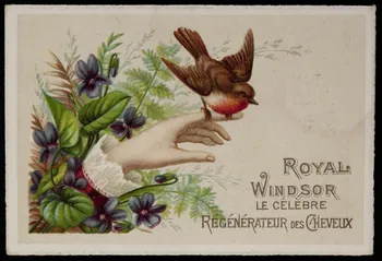 Gombert carte réclame chromo Paris 1890-1914 1995.1.3796.2  Photo