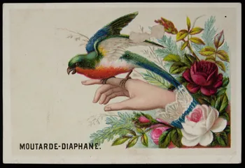Gombert carte réclame chromo Paris 1890-1914 1995.1.3796.3 Photo