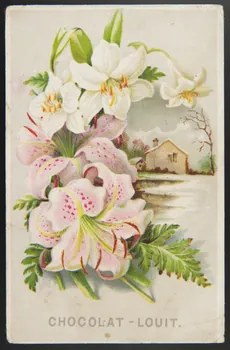 Gombert carte réclame chromo Paris 1890-1914 1995.1.3800.1 Photo
