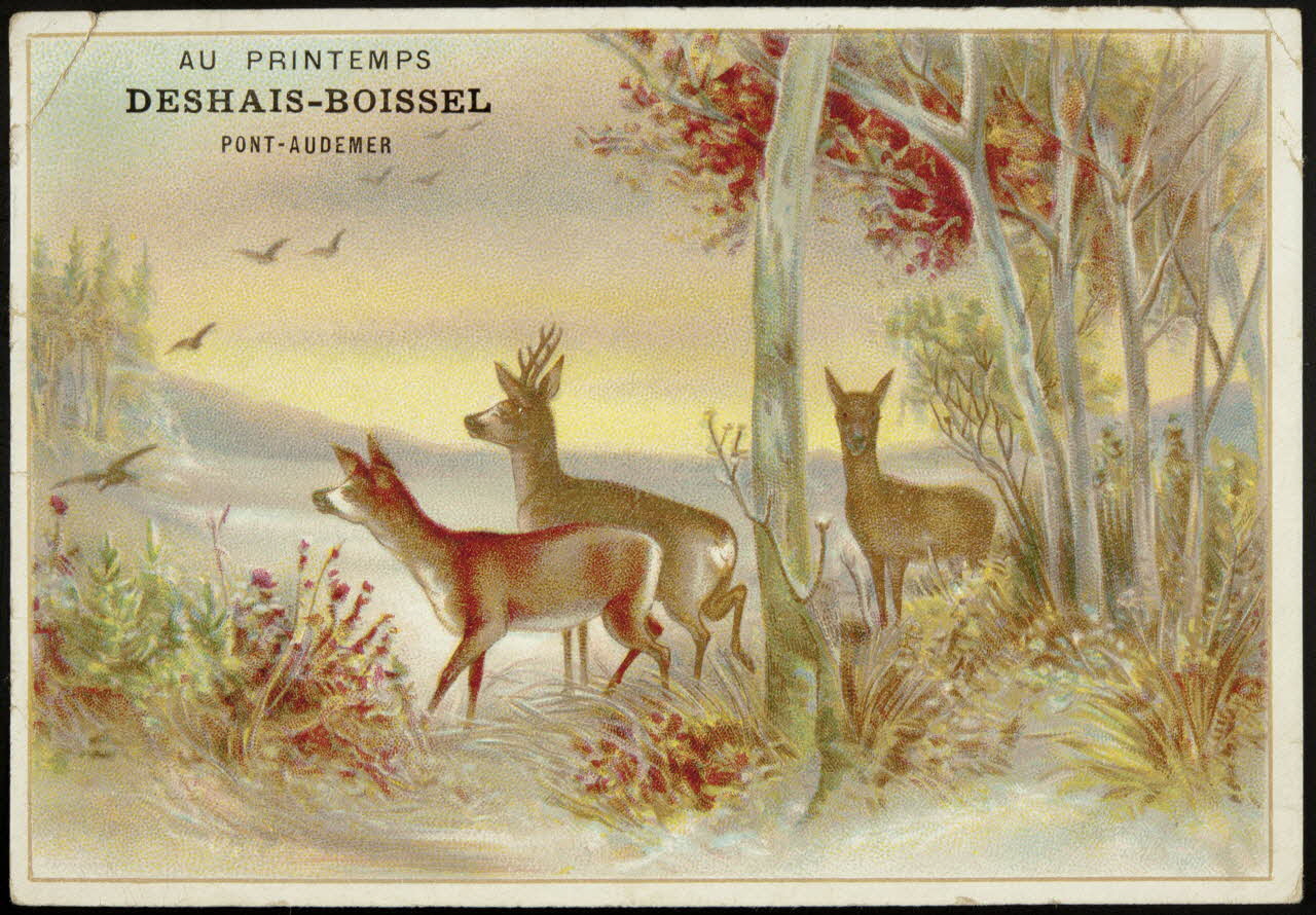 Gombert carte réclame chromo Paris 1890-1914 1995.1.3822.4 Photo