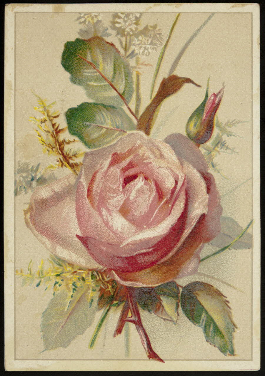 Gombert carte réclame chromo Paris 1890-1914 1995.1.3824.1 Photo