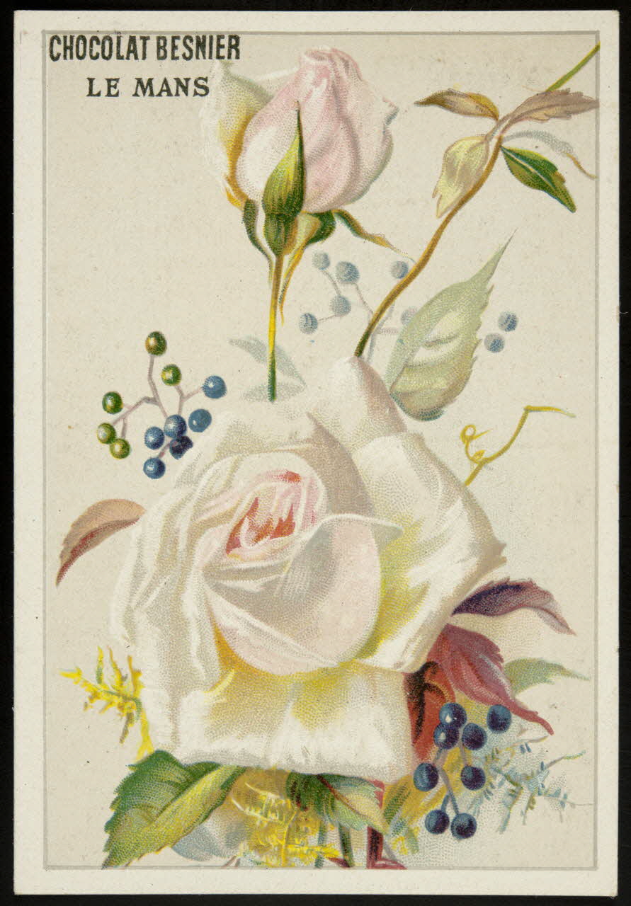 Gombert carte réclame chromo Paris 1890-1914 1995.1.3824.3 Photo