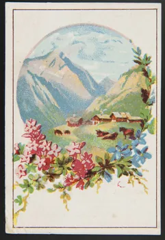 Gombert (éditeur), Duffit carte réclame chromo Paris 1890-1914 1995.1.3845.3 Photo