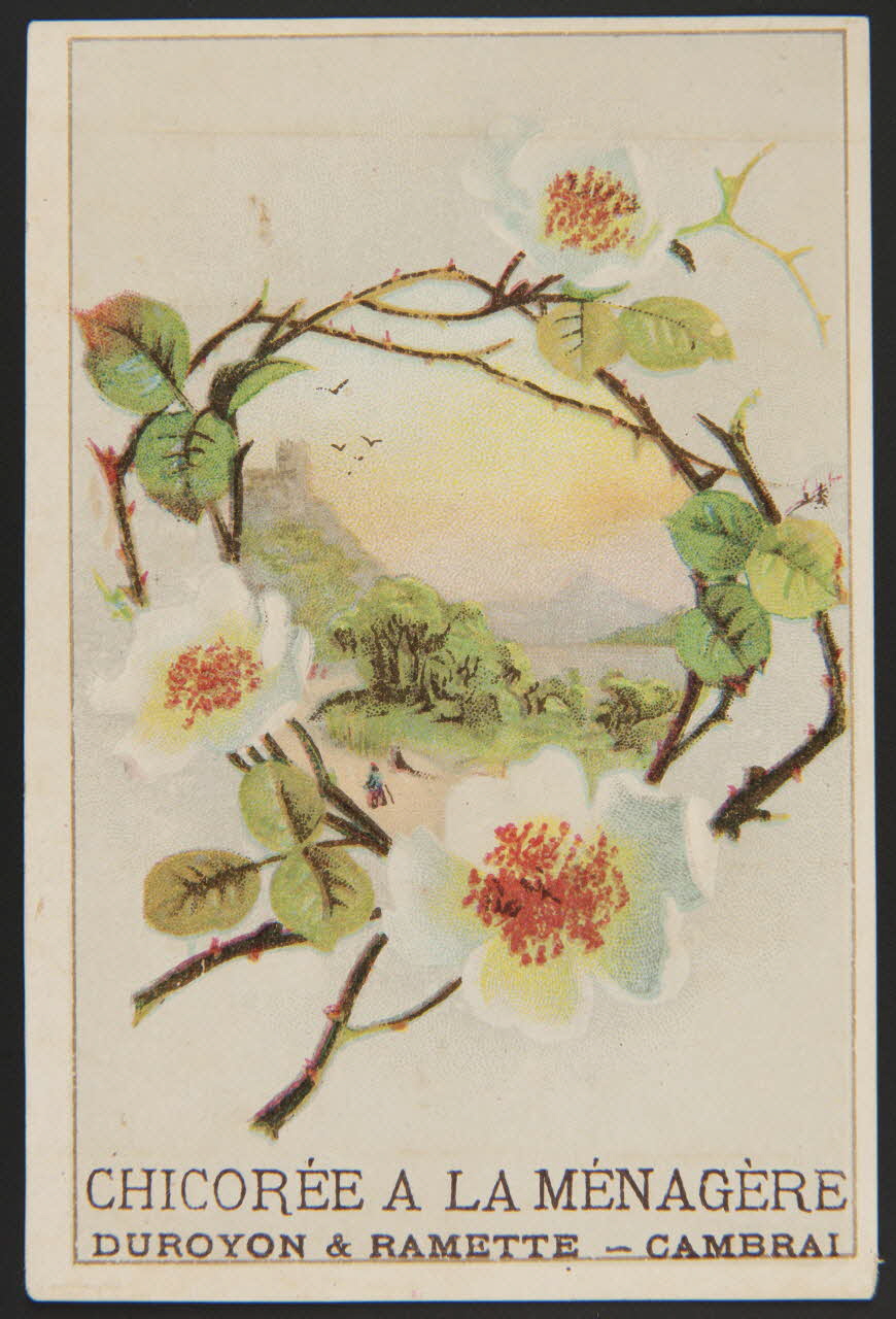 carte réclame chromo 1995.1.3856.3 Photo