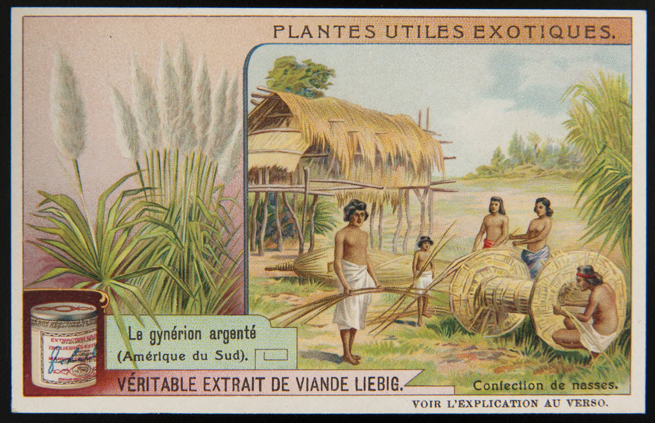 carte réclame chromo 1995.1.3861.1 Photo