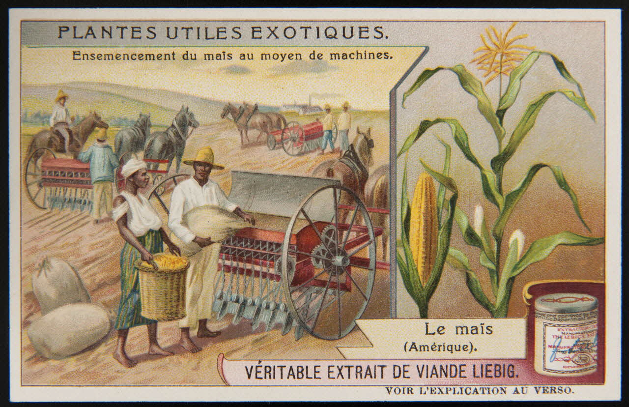 carte réclame chromo 1995.1.3861.2 Photo