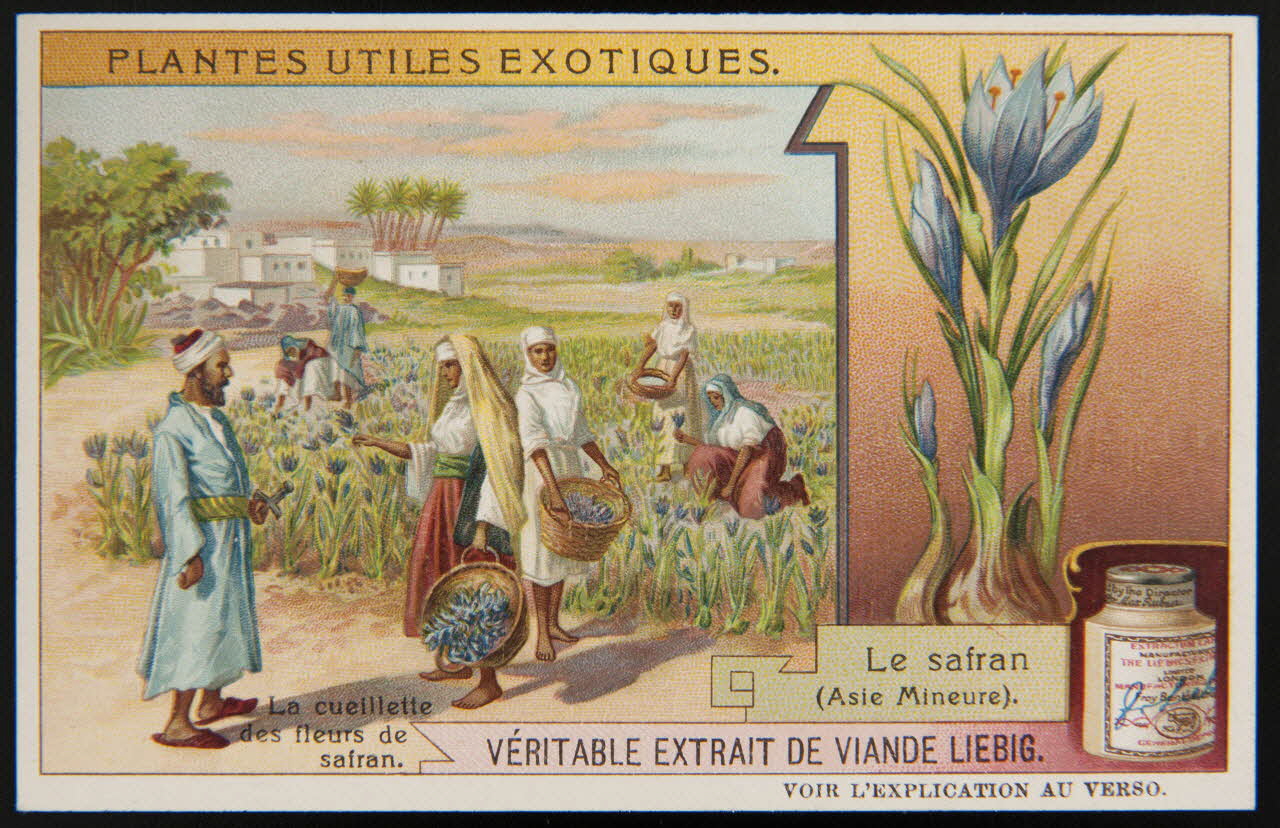 carte réclame chromo 1995.1.3861.4 Photo