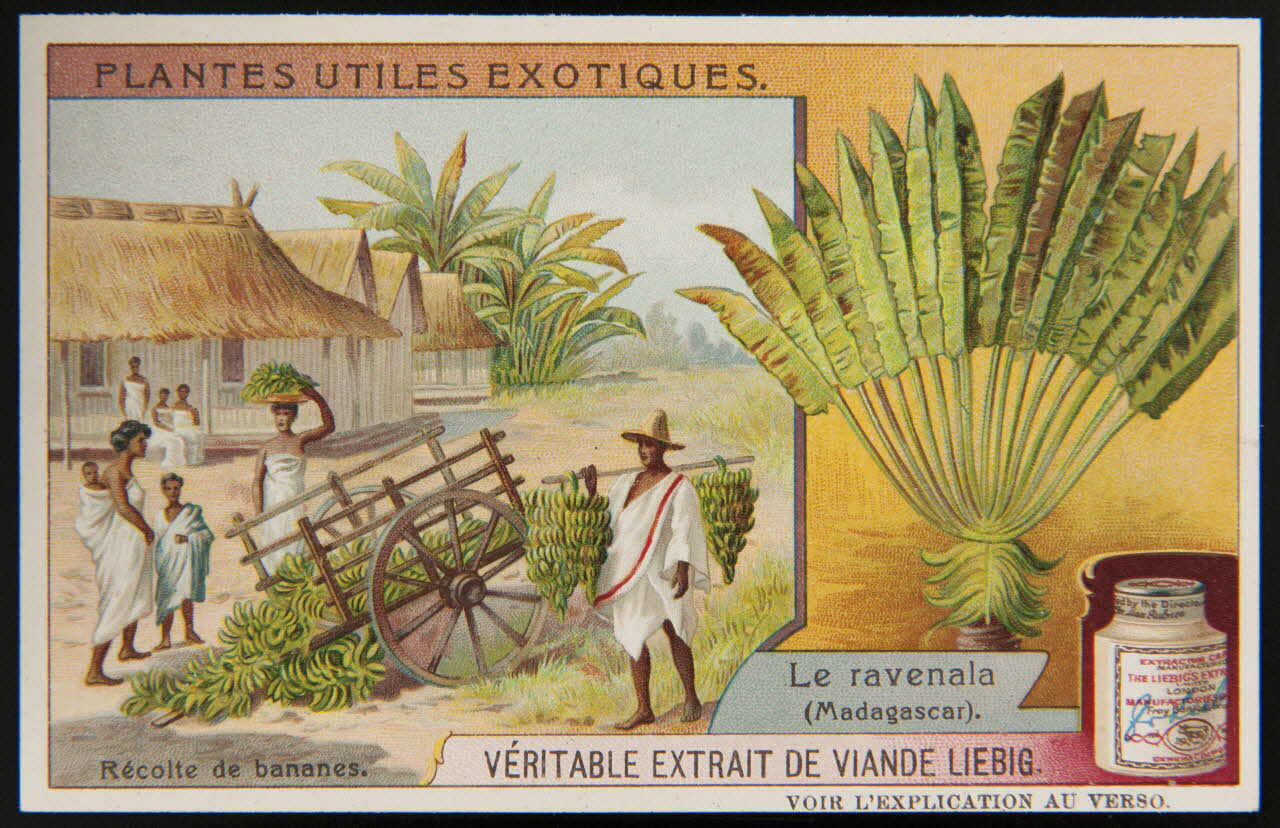 carte réclame chromo 1995.1.3861.6 Photo (c) Mucem