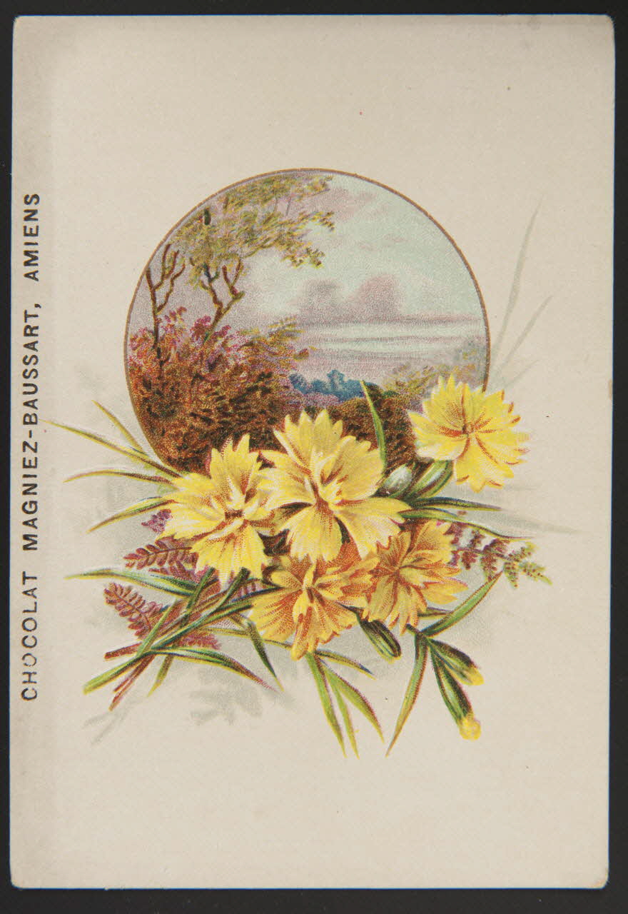 carte réclame chromo 1995.1.3886.1 Photo