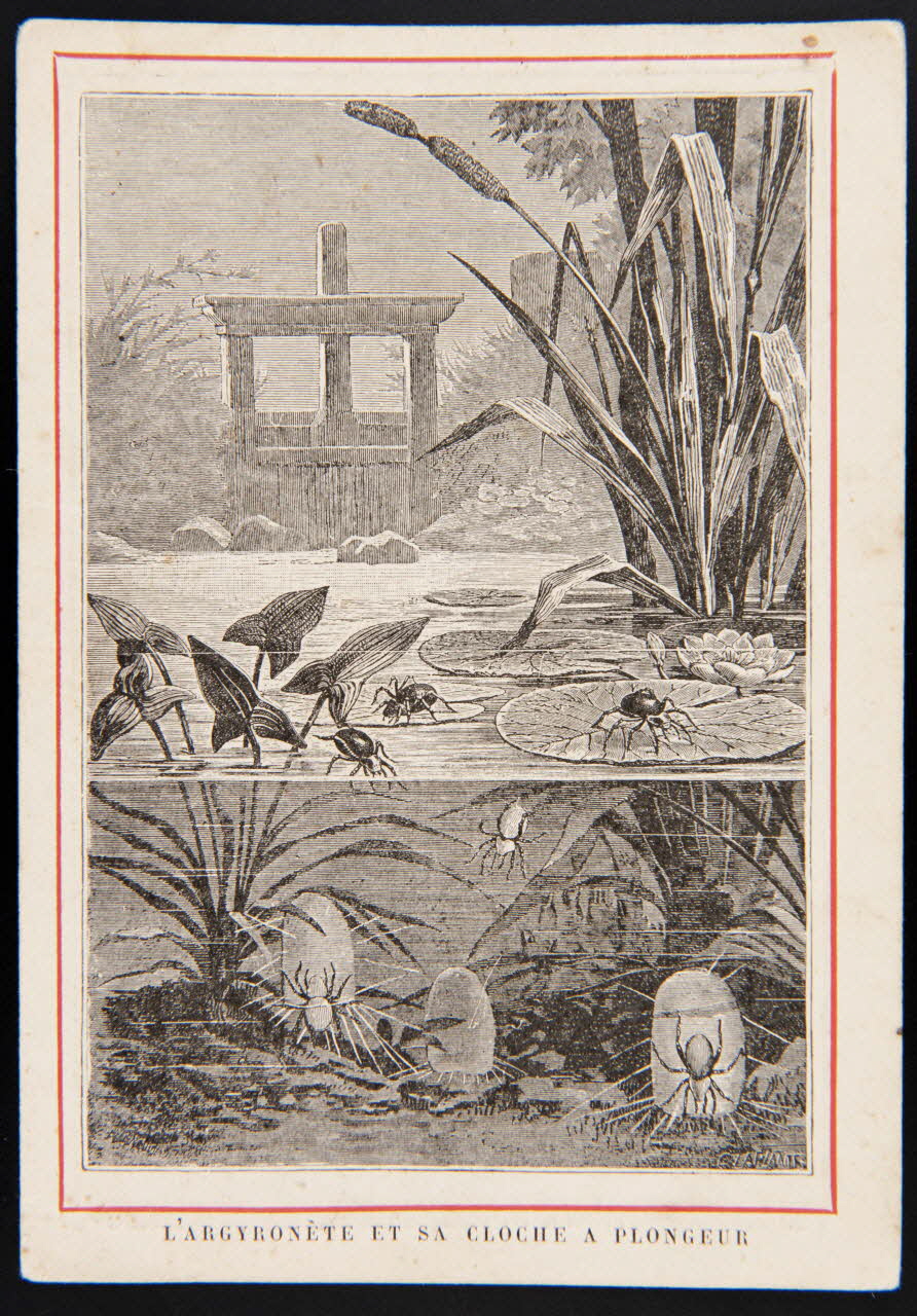 carte réclame chromo 1995.1.3959.1 Photo