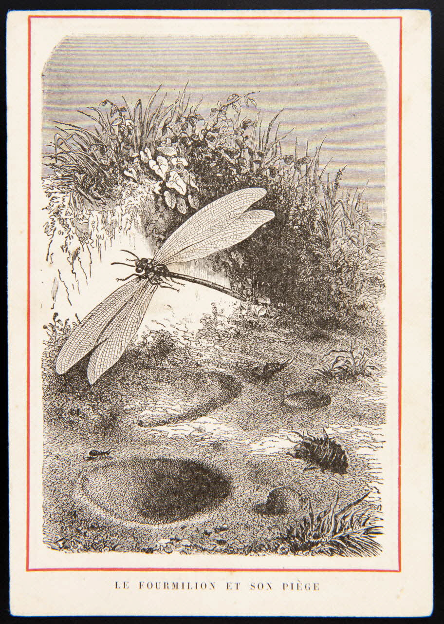 carte réclame chromo 1995.1.3959.3 Photo