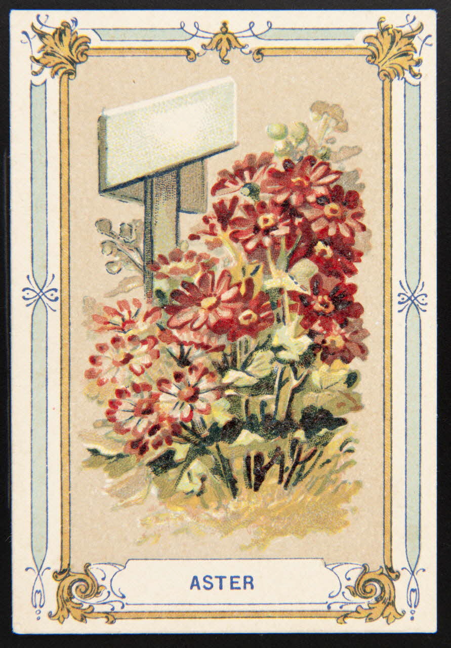 carte réclame chromo 1995.1.3961.1 Photo