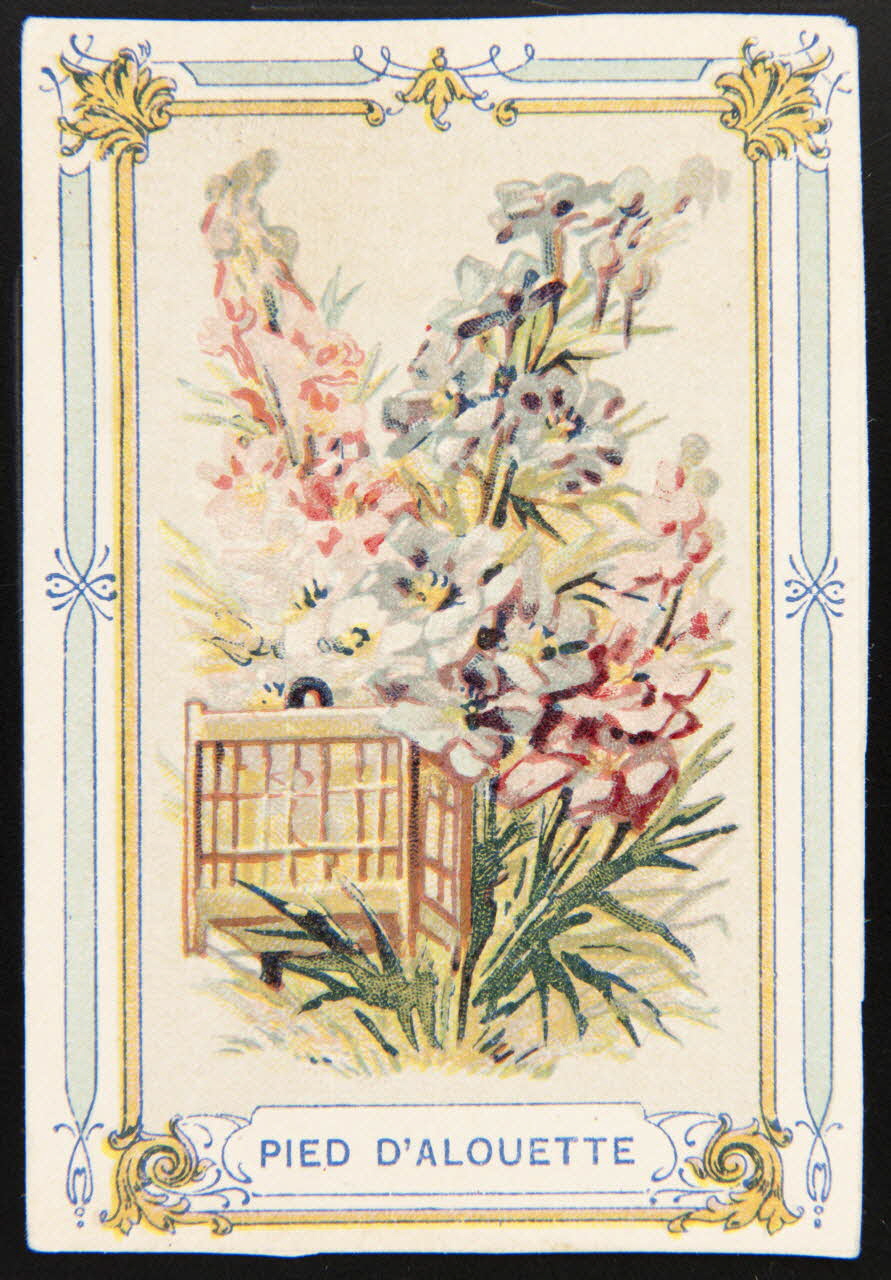 carte réclame chromo 1995.1.3961.6 Photo