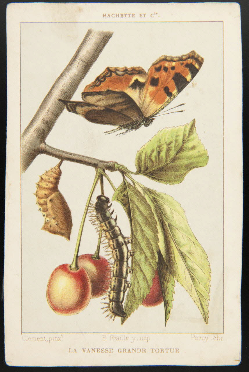 carte réclame chromo 1995.1.3962.26 Photo