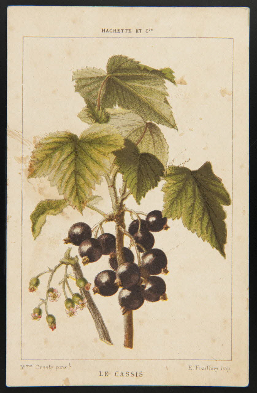 carte réclame chromo 1995.1.3963.1 Photo