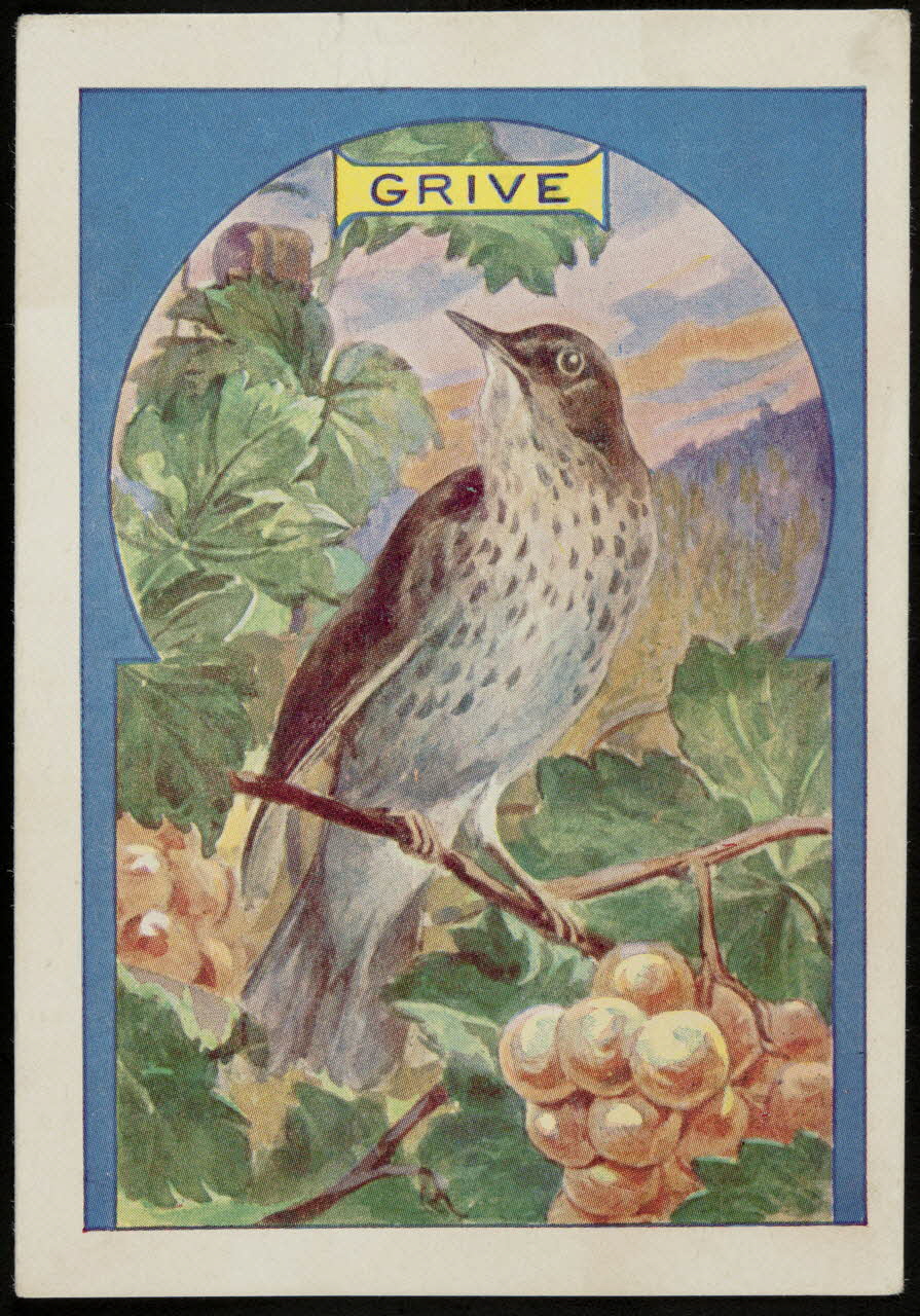 carte réclame chromo 1995.1.3964.2 Photo