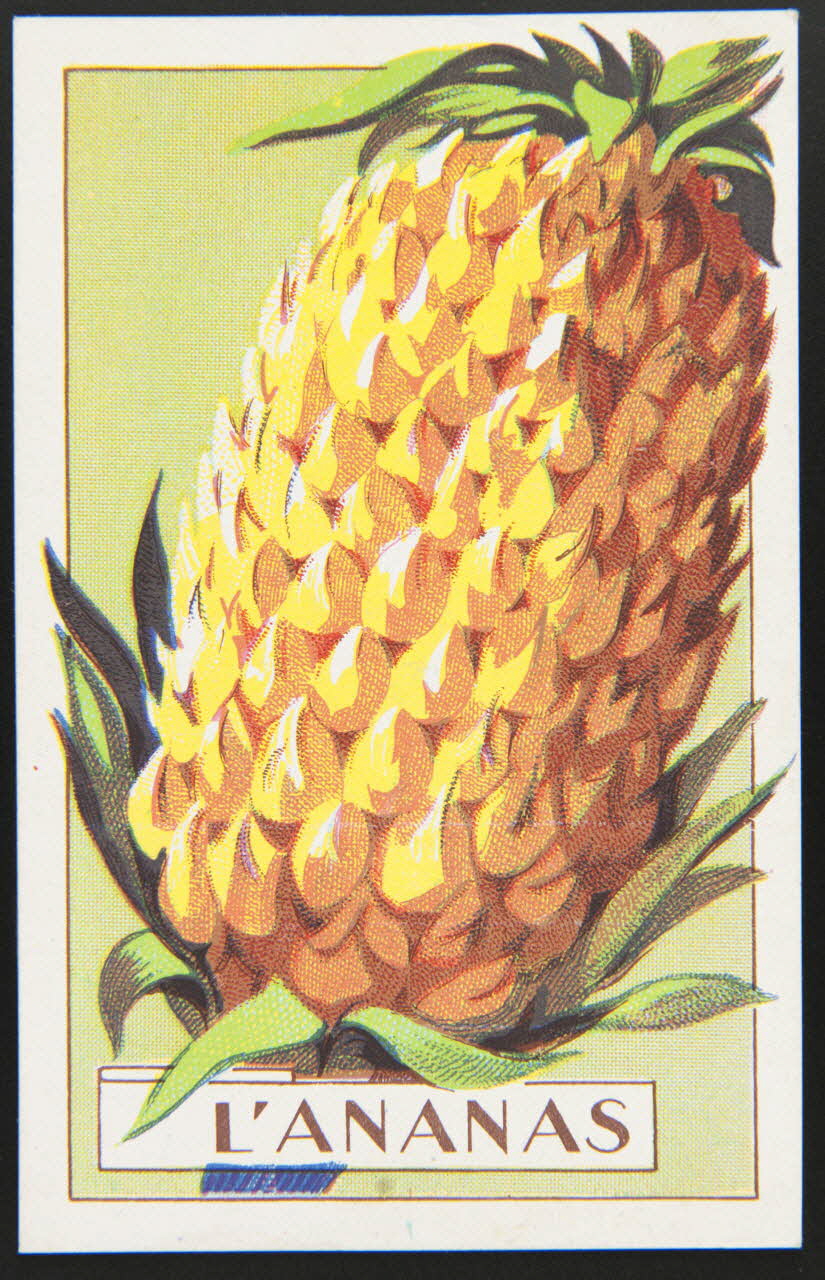 carte réclame chromo 1995.1.3966.1 Photo