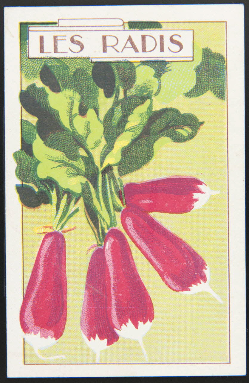 carte réclame chromo 1995.1.3966.10 Photo