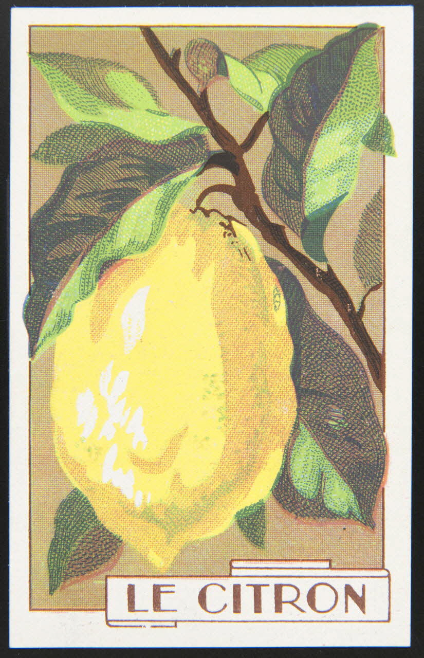 carte réclame chromo 1995.1.3966.3 Photo