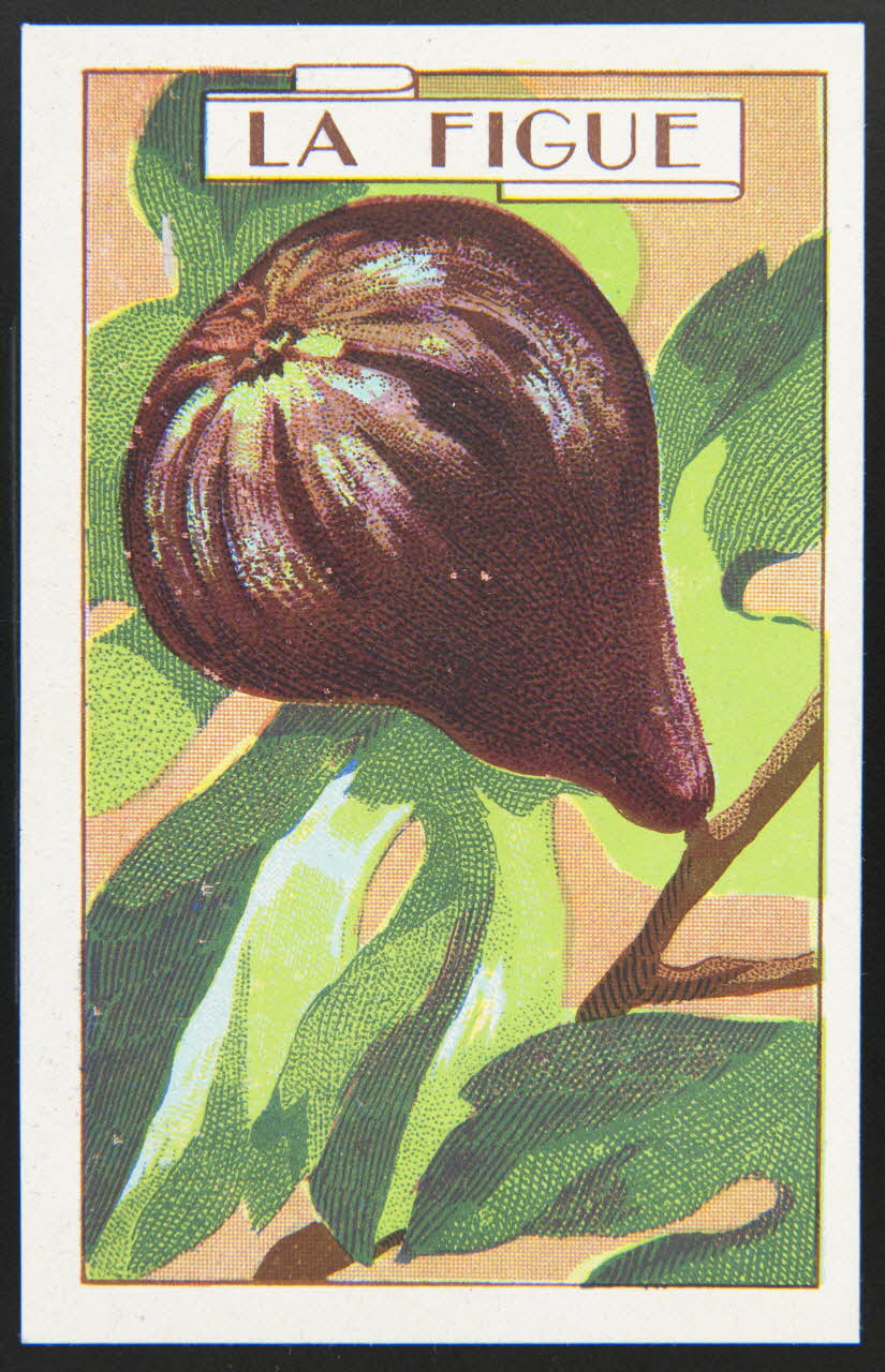 carte réclame chromo 1995.1.3966.4 Photo