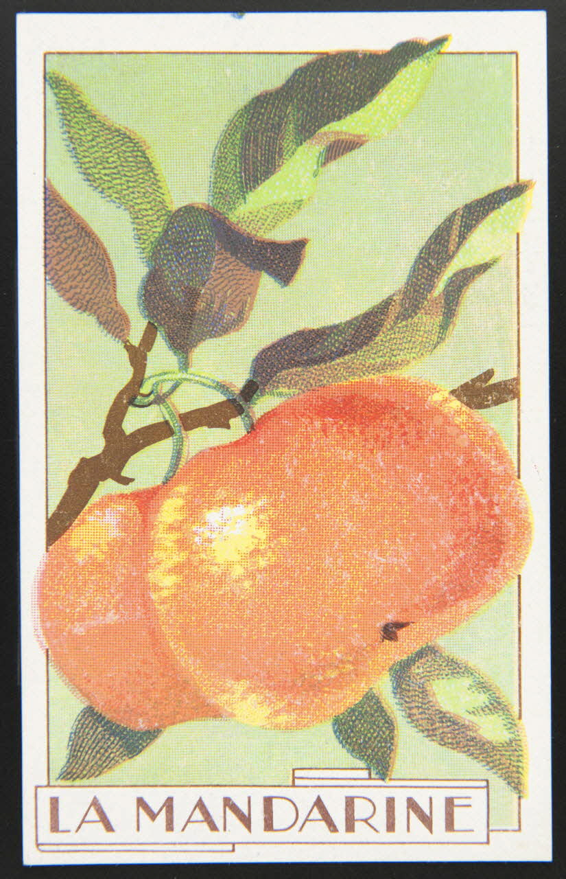 carte réclame chromo 1995.1.3966.5 Photo