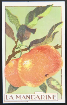 carte réclame chromo 1995.1.3966.5  Photo