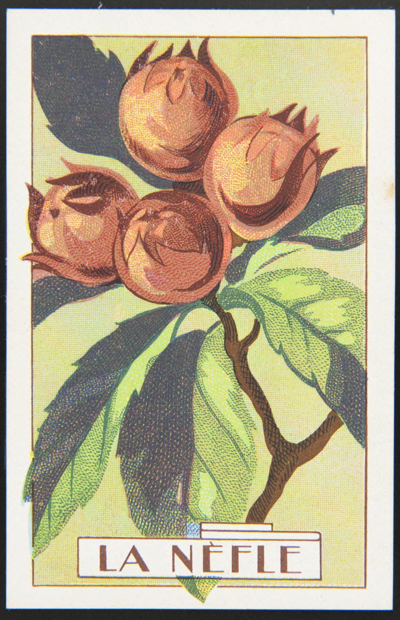 carte réclame chromo 1995.1.3966.6 Photo