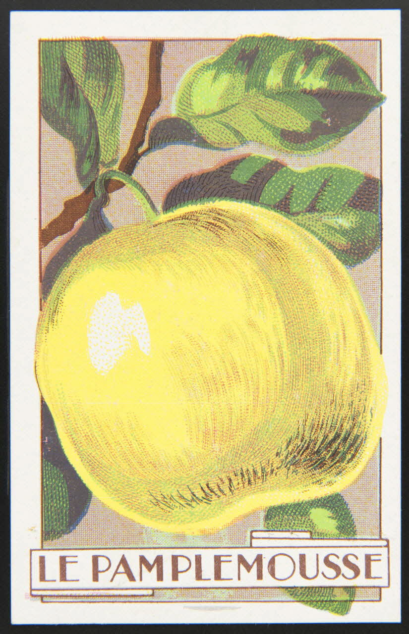 carte réclame chromo 1995.1.3966.8 Photo