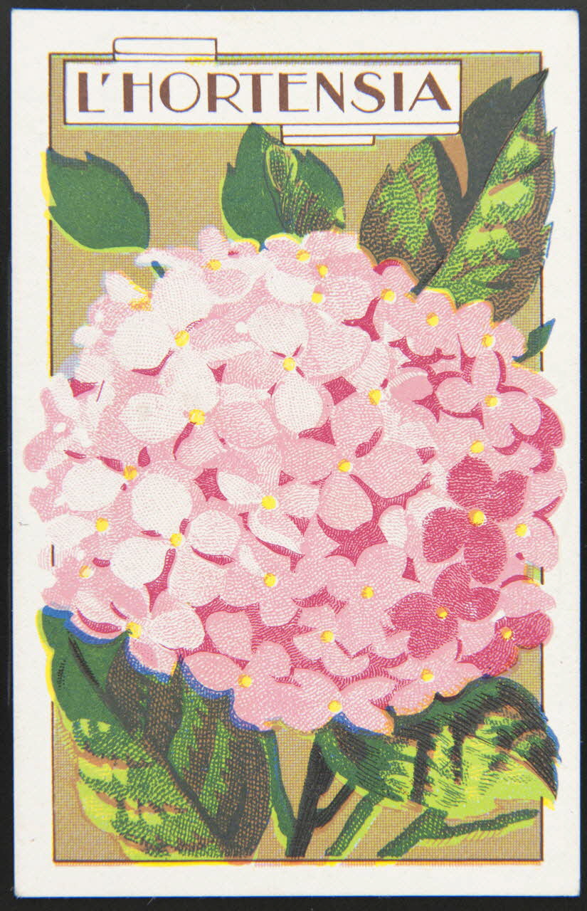 carte réclame chromo 1995.1.3966.9 Photo