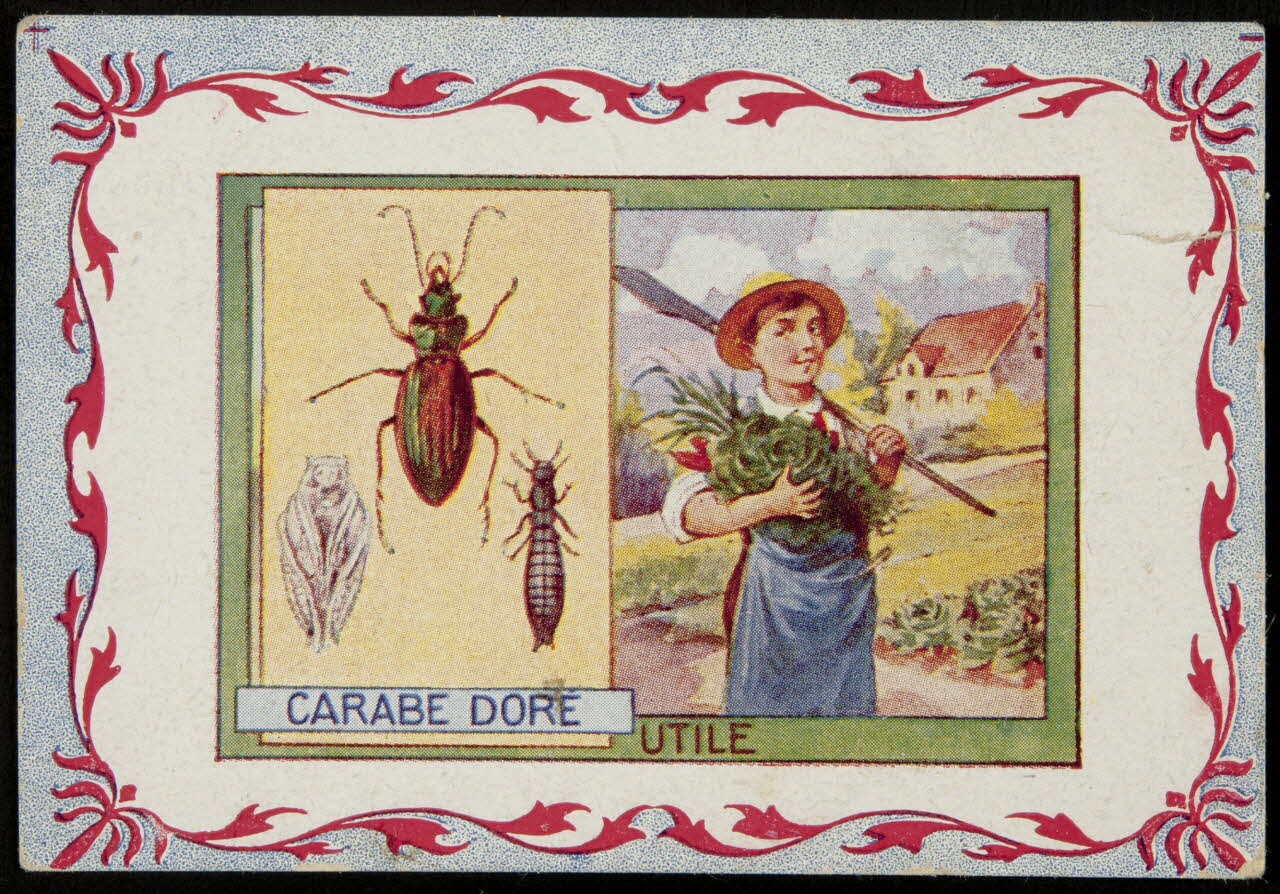 carte réclame chromo 1995.1.3967.1 Photo