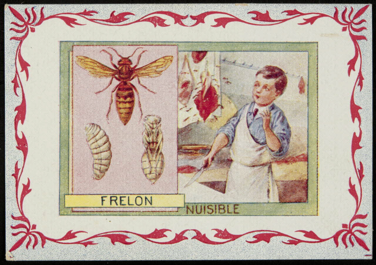 carte réclame chromo 1995.1.3967.2 Photo