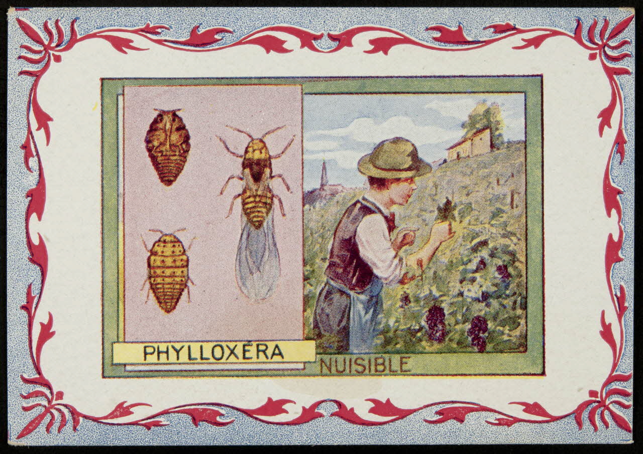 carte réclame chromo 1995.1.3967.3 Photo