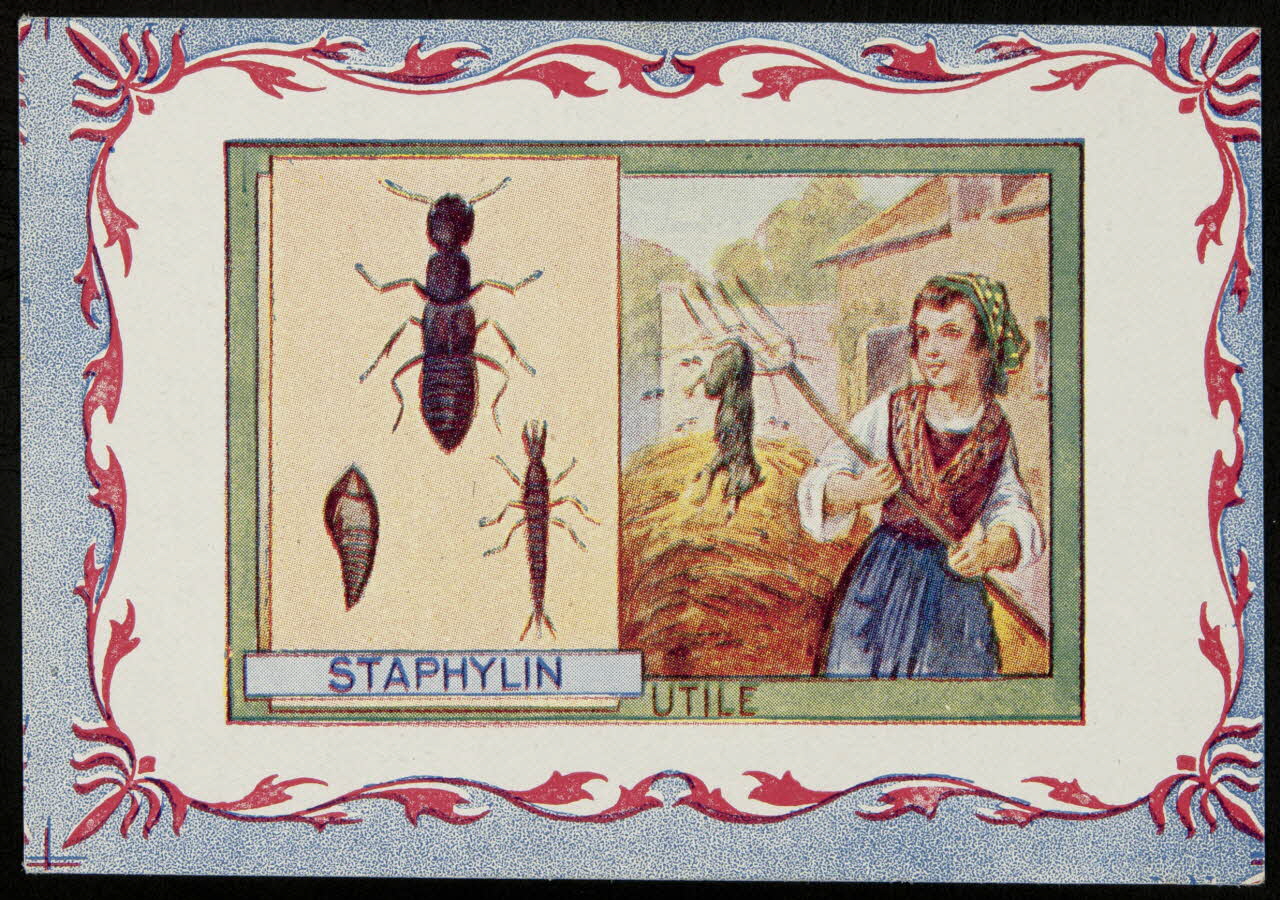 carte réclame chromo 1995.1.3967.4 Photo