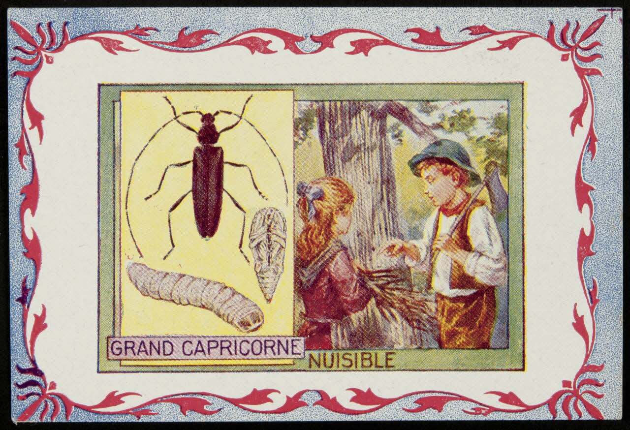 carte réclame chromo 1995.1.3967.5 Photo