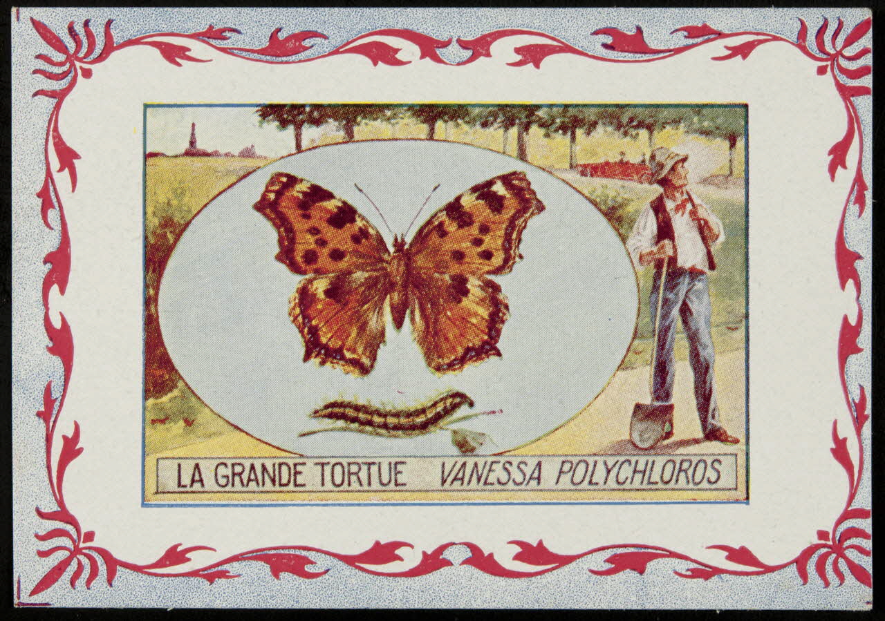 carte réclame chromo 1995.1.3968.2 Photo