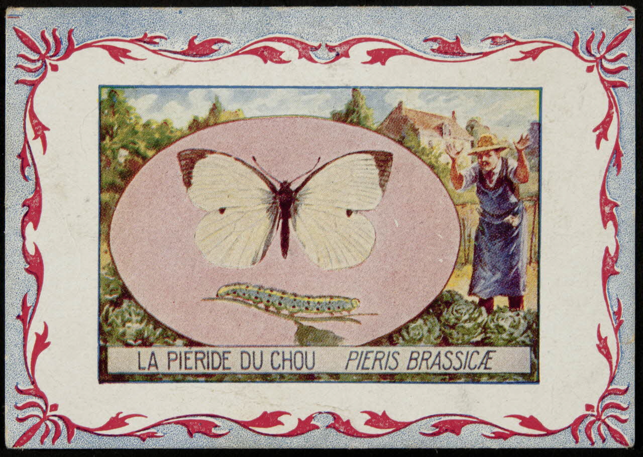 carte réclame chromo 1995.1.3968.3 Photo