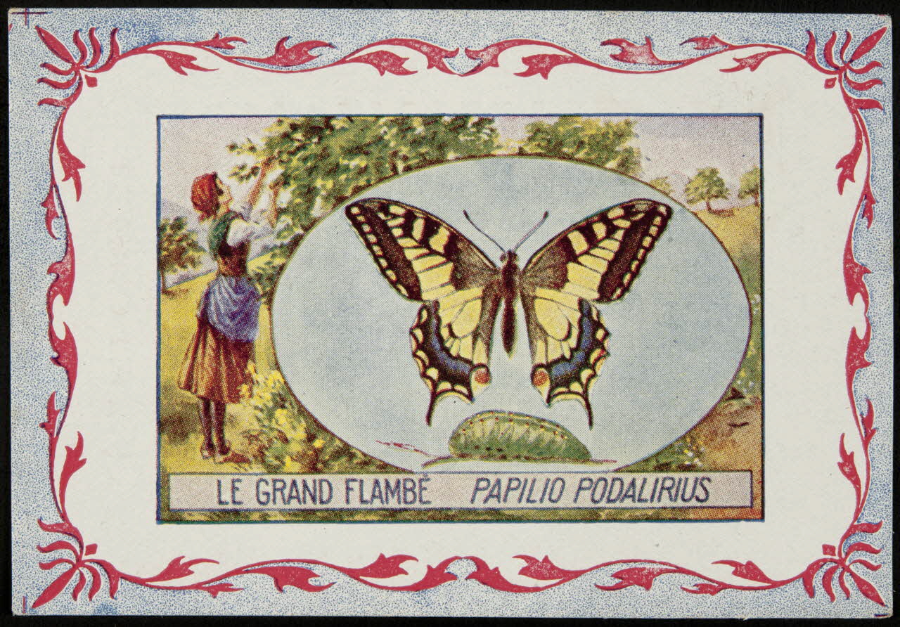 carte réclame chromo 1995.1.3968.4 Photo