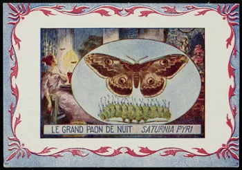 carte réclame chromo 1995.1.3968.5  Photo