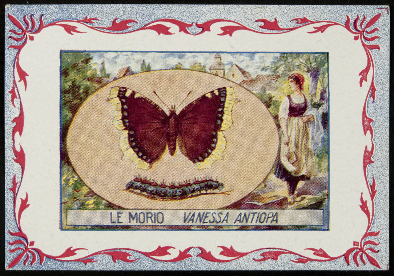 carte réclame chromo 1995.1.3968.6 Photo