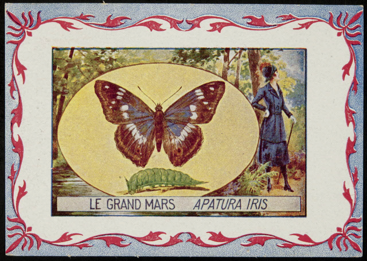 carte réclame chromo 1995.1.3968.7 Photo