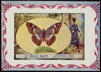 carte réclame chromo 1995.1.3968.7  Photo